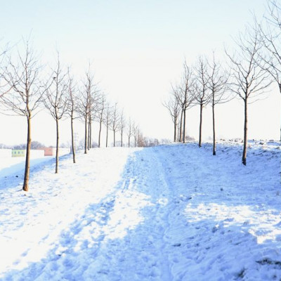 Myslivecký hon v Bořanovickém háji